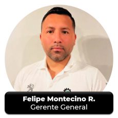 felipemontecino